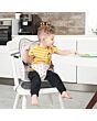 Polar Gear Baby Booster Seat 3 Point Echo Elephant