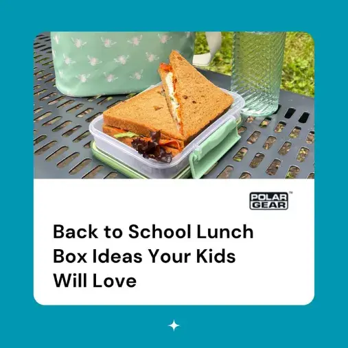 Back to school lunch back selection guide 